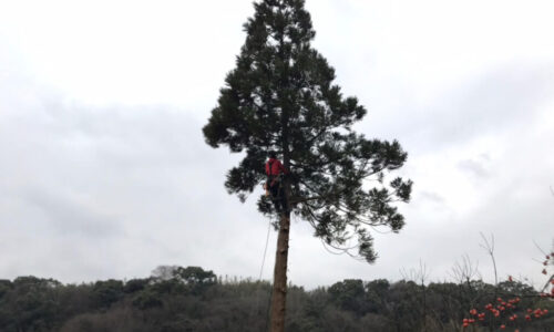 LINE_ALBUM_浅野邸　玉名市南坂門田_230213_6